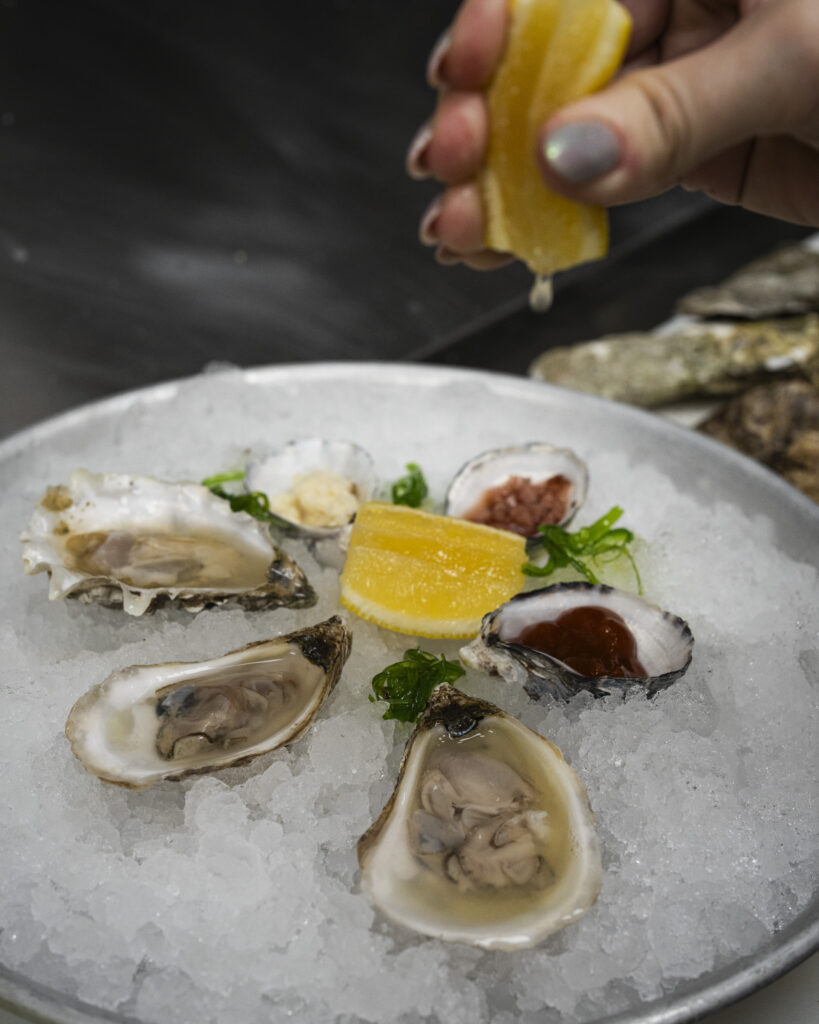 Oysters